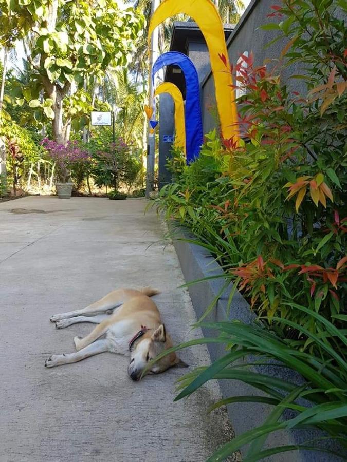 מלון Lovina Mias Jungle House מראה חיצוני תמונה