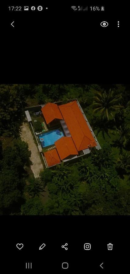 מלון Lovina Mias Jungle House מראה חיצוני תמונה