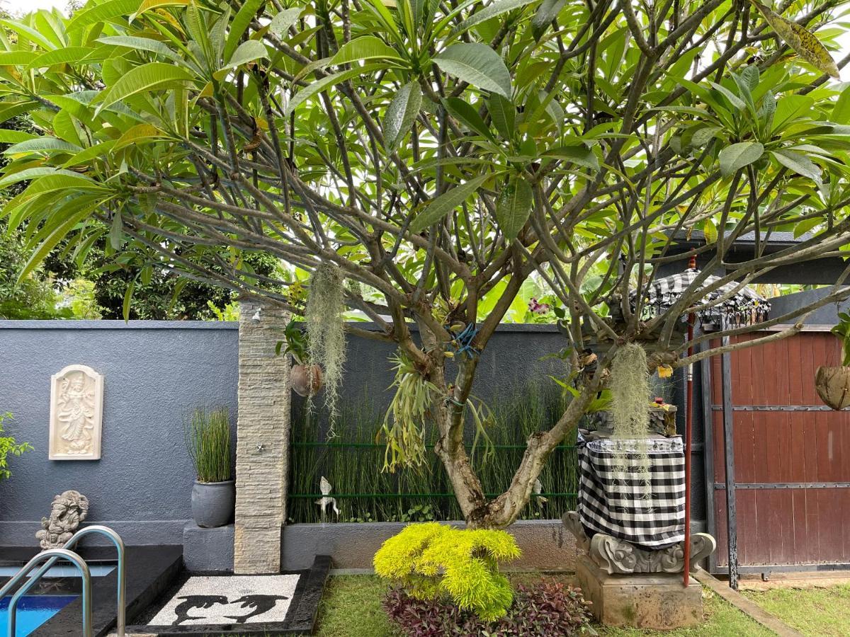 מלון Lovina Mias Jungle House מראה חיצוני תמונה